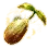 Fleshsari Flower Seed icon