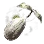 Bonesari Flower Seed icon