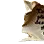 Torn Note Fragment icon