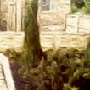 Piece of Leordo Dias' Painting #8 icon