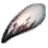 Sturdy Fang icon
