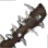 Sharp Club icon