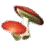 Orc's Red Mushroom icon