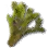 Water Plant icon
