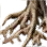 Tough Tree Root icon