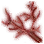 Lucky Branch icon