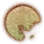 Memory Fragment icon