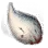 Pugnose Molar icon