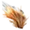 Lion Mane icon