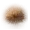 Gazelle Fur icon