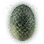 [Pet] Dragon Egg Fossil icon