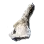 Young Candidum's Bone Fragment icon