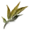 Faded Obsidian Spirit Leaf icon