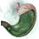 Decomposed Exocrine Gland icon