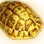 Golden Turtle Shell icon