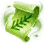 Brave Pine Blader Transformation Scroll icon