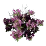 [Manor] Little Rosebay icon