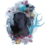 Coral Mirror icon