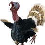 [Event] Stuffed Lethal Turkey icon