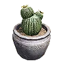Cactus Pot icon