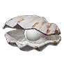 King Clam icon