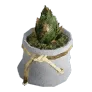 Pocket Flower Pot icon