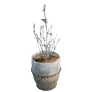 Flower Pot with Warm Lighting icon
