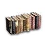 Bookshelf with Knowledge on the Serendia Adventure Log V icon