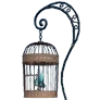 Bird Cage icon