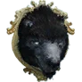 Stuffed King Brown Bear Head icon