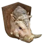 Master's Special Stuffed Giant Boar Head icon