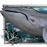 Blue Whale Wall Decoration icon