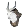 Stuffed Snowfield Markhor Head icon