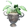 Spring Picnic Flower Pot C icon