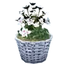 Spring Picnic Flower Pot E icon