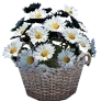 Spring Picnic Flower Pot F icon