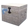 Spring Picnic Box A icon