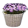 Spring Picnic Flower Pot J icon