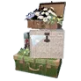 Suitcase Set icon