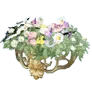 Chrysanthemum Shelf icon