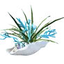 Coral Shine White Conch Pot icon