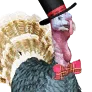 Golden Sunset Turkey Decor icon