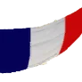 [Event] French Flag icon