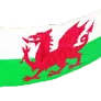 [Event] Welsh Flag icon