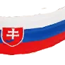 [Event] Slovakian Flag icon