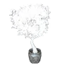 [Event] Kamasylve Pot Decoration icon