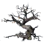 [Manor] Caphras Tree icon