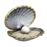 Pearl of Emeraltides icon
