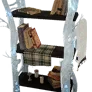 Winter Wood Bookshelf icon