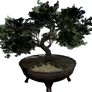[Manor] Curved Potted Tree icon